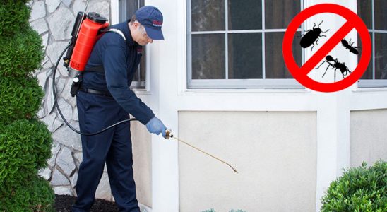 Akçakent Tahtakurusu İlaçlama böcek ilaçlama ve haşere kontrolü — ilaclama-tr.com